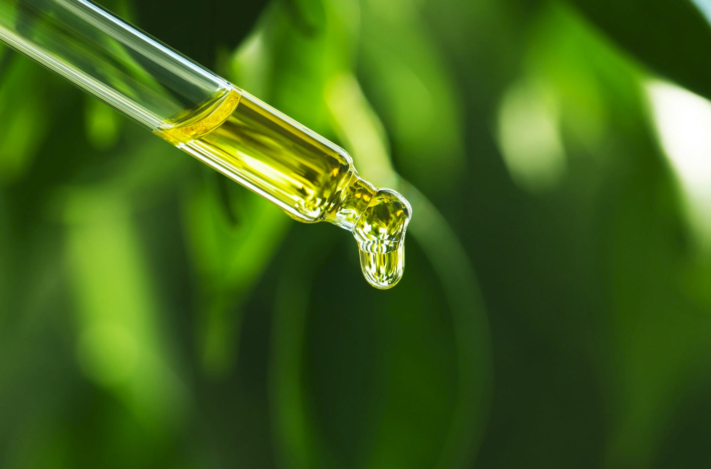 Close-up of a dropper with yellow liquid against a green blurred background
