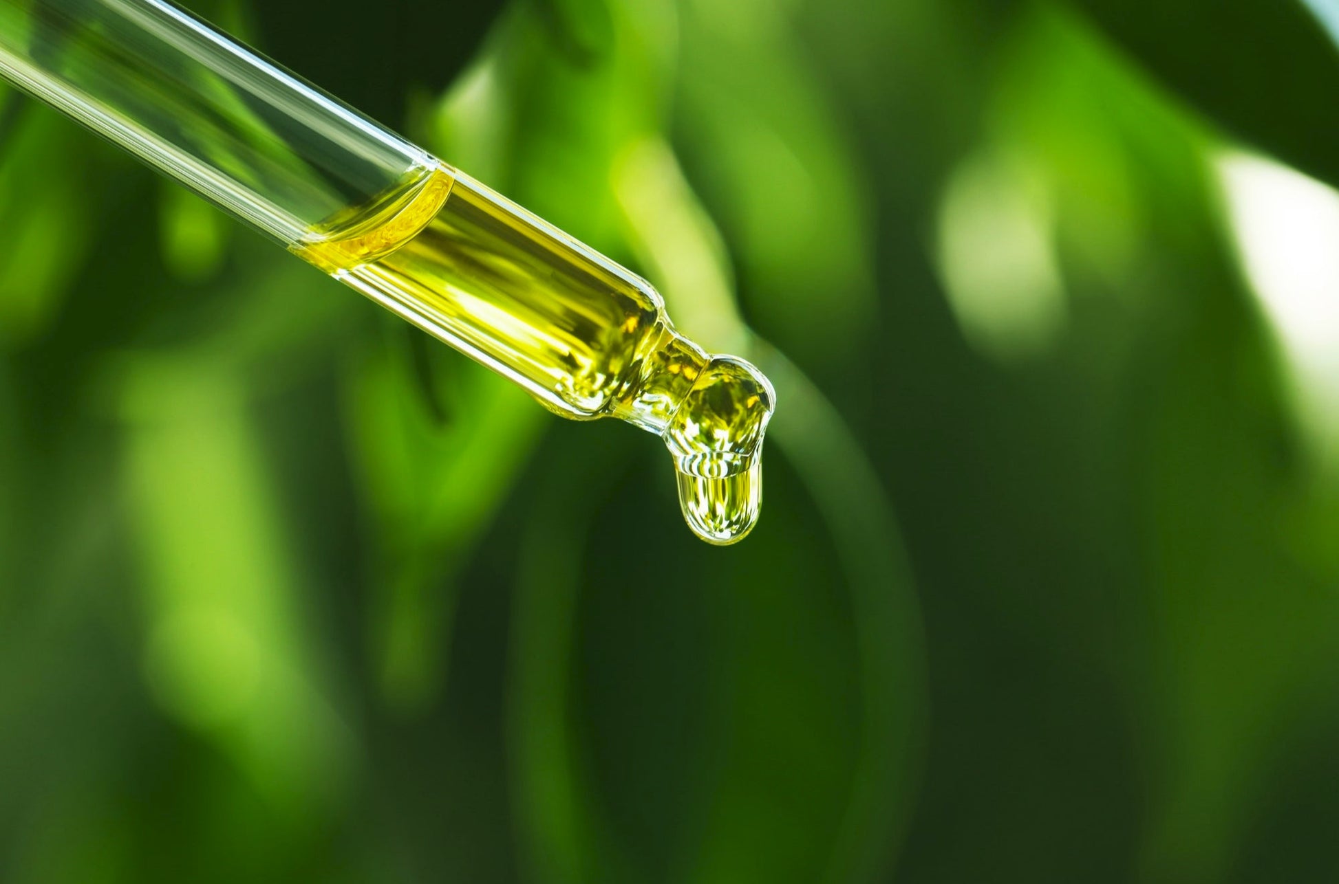 Close-up of a dropper with yellow liquid against a green blurred background